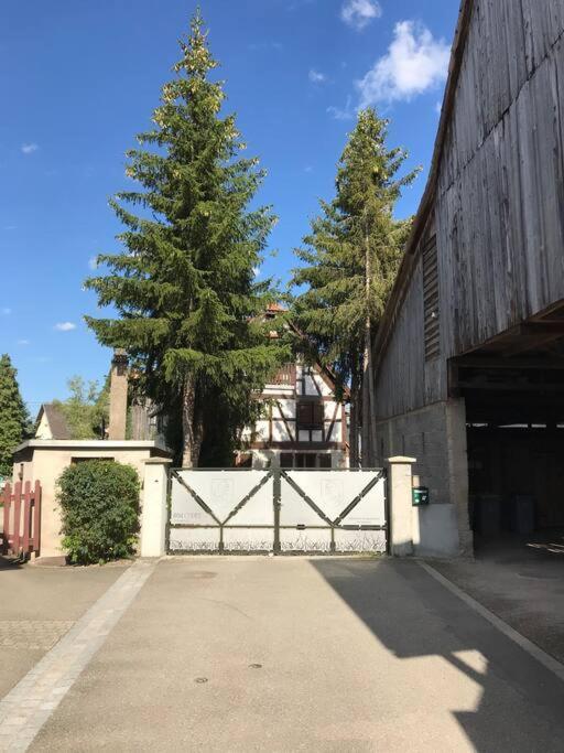 Paisible Logement Tout Equipe Pour 1 A 6 Personnes Ebersheim Dış mekan fotoğraf